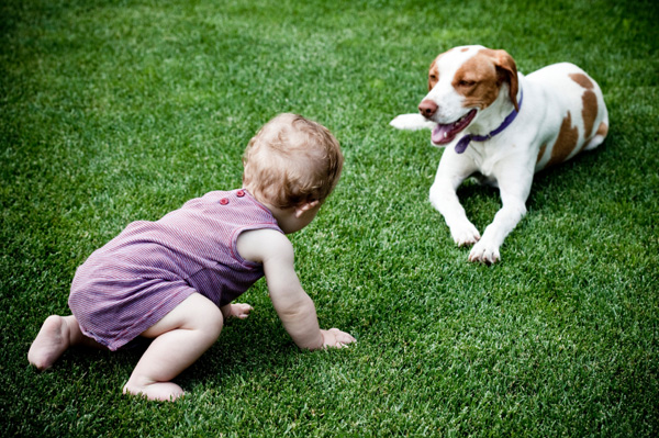 Baby krabbelt auf Hund zu