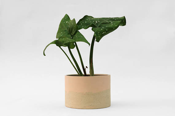 Beste planter på Etsy | Pink Speckled Planter