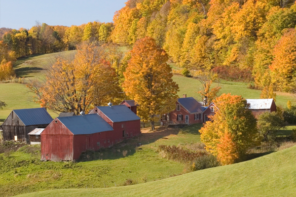 Vermontas saimniecība rudenī