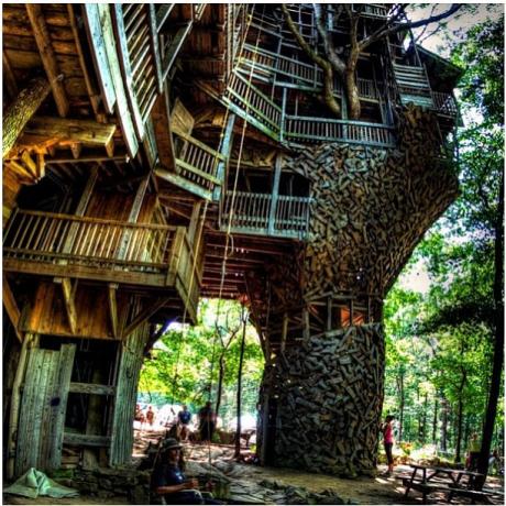 15 엄청나게 멋진 나무 위의 집
