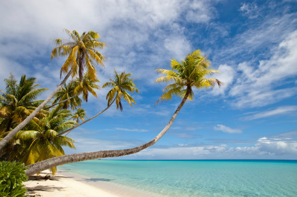 Strand in Fidschi