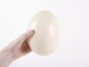 Minden, amit a tojásról tudni kell, amely nem csirkéből származik - SheKnows