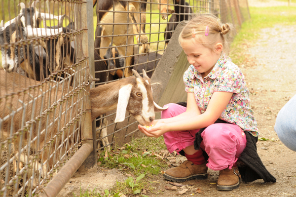 Kind im Zoo