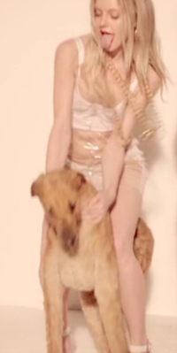Blurred Lines Mädchen, das ausgestopften Hund reitet