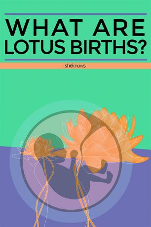 Vad är lotusfödelser?