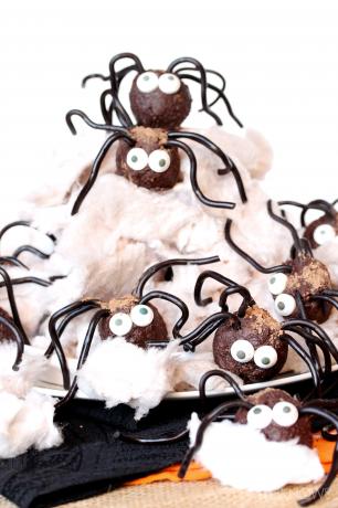 czekoladowe pająki w jadalnej sieci