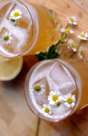 Рецепты летних коктейлей из холодного чая: ромашковый виски с медом