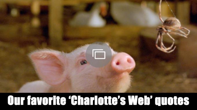 Charlotteovi web citati