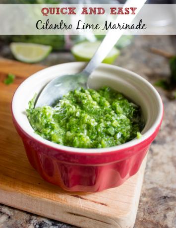 cilantro-lime-marinada